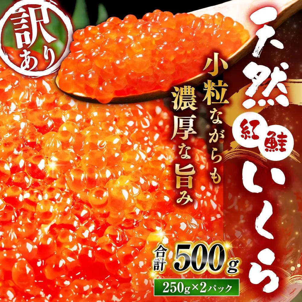  【先行予約】 新物 天然紅鮭いくら 醤油漬け 500g（250g×2） 【2026年11月以降順次発送】冷凍 年末年始 いくら 鮭いくら ご飯のお供 ご飯 米 北海道 釧路市