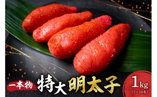 特大一本物明太子 ｜ 明太子 特大 一本物 1kg 北海道 札幌市