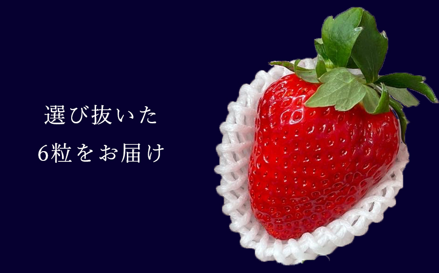 【先行予約】【古都華】【特選】 大粒 6粒 2025年2月発送 ///苺 いちご イチゴ ストロベリー  古都華 奈良 奈良県 広陵町 生産者直送  直送 厳選 数量限定 旬 フルーツ 甘い 完熟 果