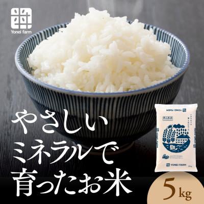 ふるさと納税 津山市 おいしいお米(5kg)無洗米　リピーター続出