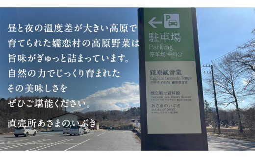 本日のおまかせ 高原野菜 5種以上 の 詰合せ と 加工品 1つ のセット 計10kg おまかせ 野菜 野菜セット 旬の野菜 産地直送 嬬恋キャベツ 加工品 酢 佃煮 漬物 惣菜 [AF028tu]