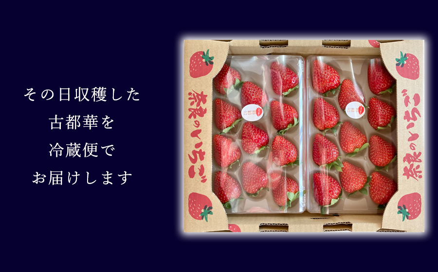 【先行予約】【古都華】2パック 2025年4月発送 ///苺 いちご イチゴ ストロベリー  古都華 奈良 奈良県 広陵町 生産者直送  直送 厳選 数量限定 旬 フルーツ 甘い 完熟 果物