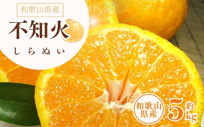 デコ不知火（デコポン） 約5kg/サイズおまかせ　※2026年2月上旬～2026年4月上旬頃に順次発送予定(お届け日指定不可)　紀伊国屋文左衛門本舗　【ntbt420A】