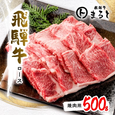 【飛騨牛A4等級以上】特選ロース(焼肉用)500g【配送不可地域：離島】【1451224】