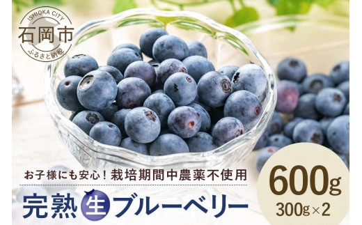 【 2026年 先行予約 】元気に育った ブルーベリー 600g 生 ( 300g 2パック ) 農薬 栽培期間中 不使用 果物 フルーツ 新鮮 手摘み 国産 産地直送 農家直送 産直 個包装 小分け くだもの スムージー ジャム ヨーグルト デザート 茨城 茨城県 石岡市 (A11-001)