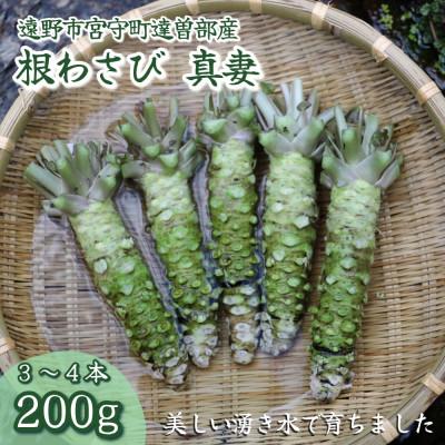 ふるさと納税 遠野市 【生産者直送】宮守特産わさび(生) 200g(3〜4本)