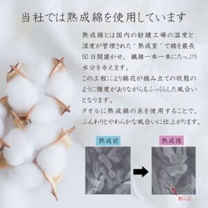 泉州タオル「ステップボーダー」フェイスタオル5枚セット 005A458_雑貨・日用品 泉州タオル タオル _【1536315】