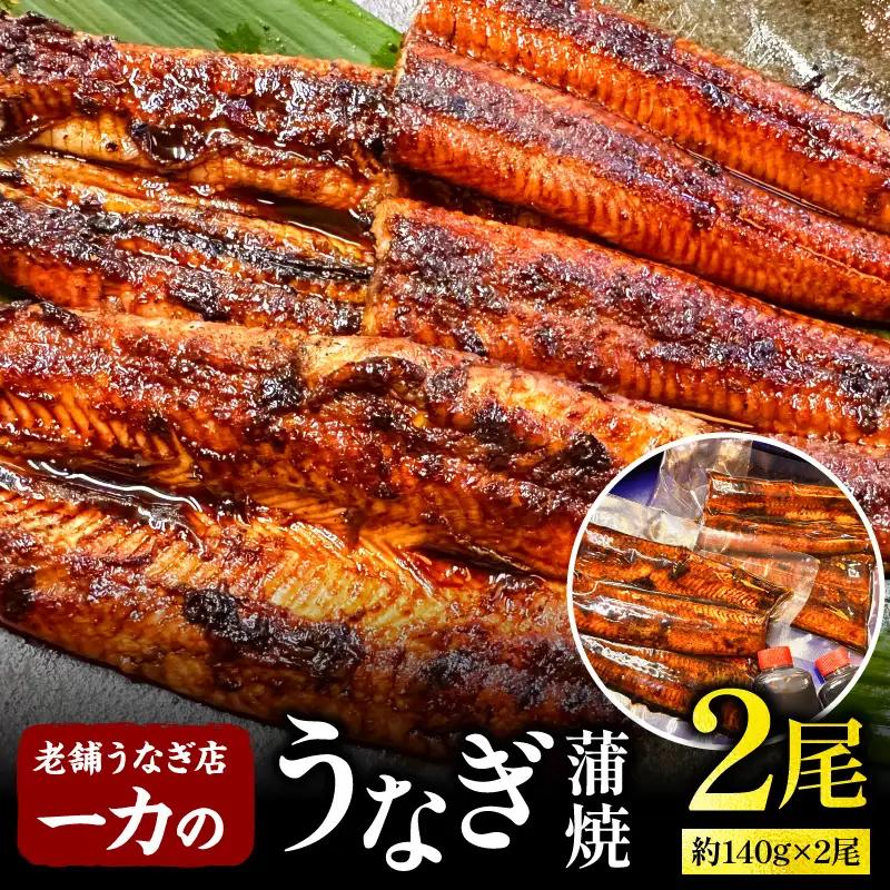 うなぎ 蒲焼 うなぎ[国産 2尾 約280g 一力]