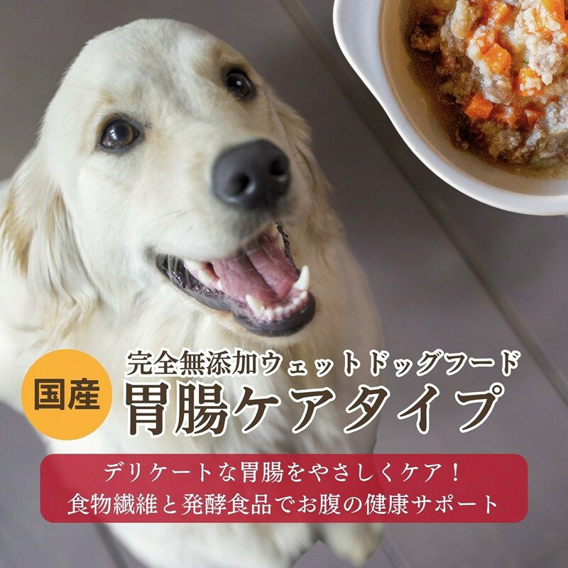 【ふるさと納税】[ウェットドッグフード] 胃腸ケアタイプ (5パック) 犬用 栄養 野菜 鹿肉 しか肉 しかにく 鹿すね肉 鹿すじ肉 コラーゲン おから オリーブオイル スープ 国産 京都野菜 京丹後 京都 無添加 健康 愛犬 愛犬家 おやつ 安心安全 手作り 食事 送料無料