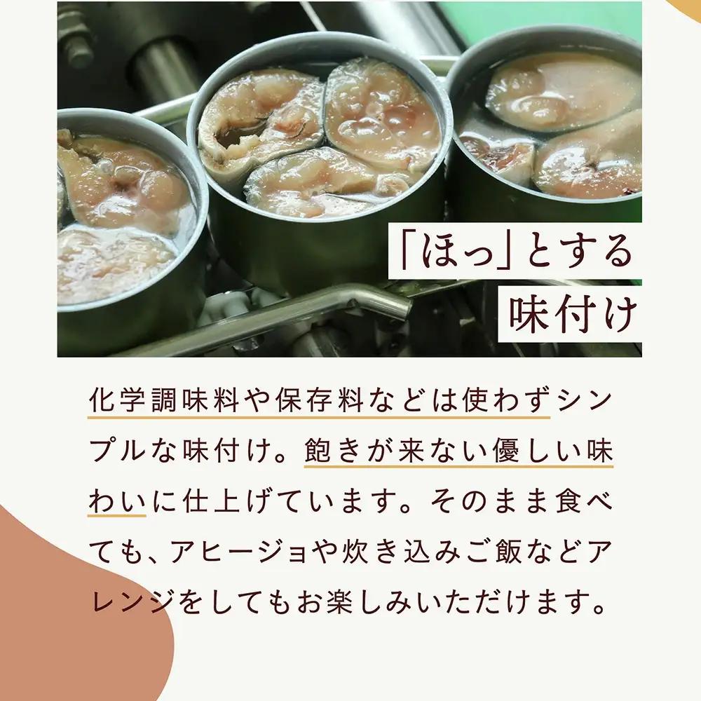 【TVで紹介されました】缶詰 いわし水煮 180g×12個 無添加 無着色 長期保存 非常食 缶詰