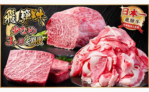 【毎月定期便】飛騨牛 少なめ定期便 計1kg 全3回【配送不可地域：離島】