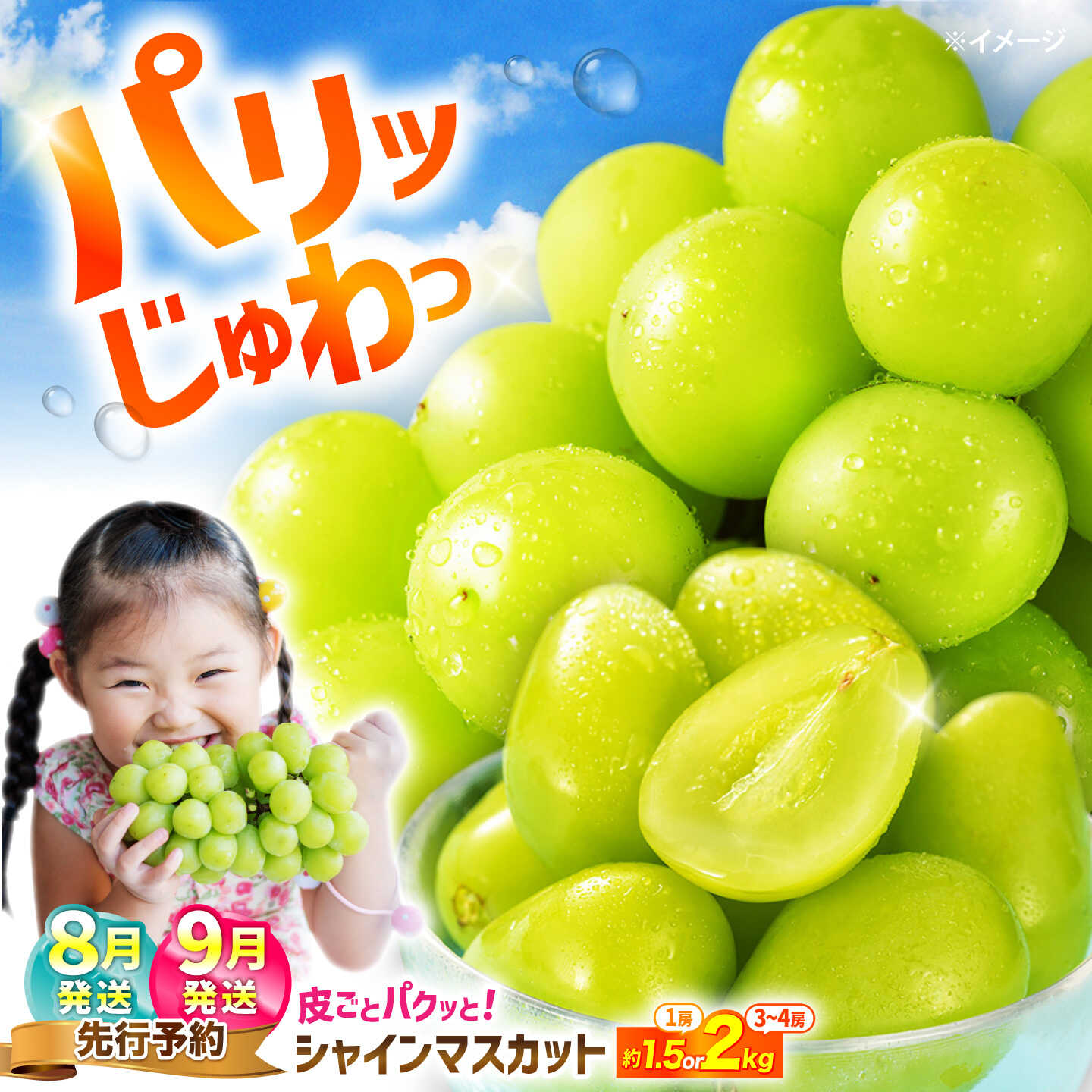 【ふるさと納税】【先行予約】【種なし☆皮ごと】 シャインマスカット 約1.5kg～約2kg＜濱崎農園＞[CGN001] ぶどう ブドウ 葡萄 種なし 大粒 マスカット シャインマスカット 果物 フルーツ シャインマスカット 長崎県西海市 1万円 10000円