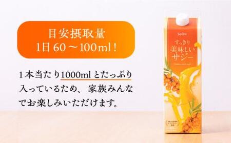 【全6回定期便】 美味しいサジーが毎月届く！すっきり美味しいサジー（2本）定期便6回《豊前市》【ハウスボトラーズ】 [VAX039]