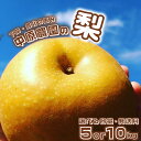 【ふるさと納税】 梨 5kg 10kg 選べる セット 8玉 ～ 16玉 20玉 ～ 32玉 訳あり 幸水 豊水 新興 フルーツ 果物 なし 和梨 期間限定 中原農園 下関 山口 【 先行予約 】 【 数量限定 】 【8月以降発送】