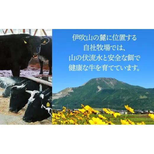 【飛騨牛】ロースまたは肩ロース600g (焼肉・BBQ用)
