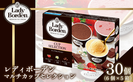 ロッテ レディーボーデン マルチカップセレクション ｜レディーボーデン アイス セット 詰め合わせ バニラ チョコレート ストロベリー アイスクリーム【MNM0022】