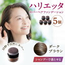 【ふるさと納税】ハリエッタ カバーヘアファンデーション(ダークブラウン)5セット 兵庫県 西宮市【1516477】