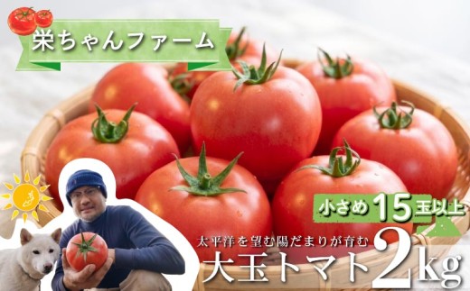 【2027年3月発送】大玉トマト2kg 良品 小 15玉 以上 先行予約 トマト とまと 野菜 旬 サラダ パスタ 季節限定 産地直送 大玉トマト ギフト プレゼント 贈答 贈り物 静岡県産 栄ちゃんファーム 静岡県 下田市