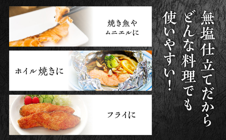 ふくい名水サーモン 切身 無塩 サーモン 鮭 トラウトサーモン さけ しゃけ サケ シャケ おかず 弁当 魚 焼き魚 焼鮭 ムニエル フライ 鮭フライ 魚介類 冷凍 真空 切り身 愛知県 田原市 渥美
