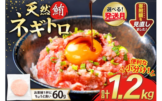 【準備でき次第発送】 天然 マグロ ネギトロ まぐろたたき 冷凍 60g 20パック 計1.2kg 小分け 個包装 FY03 [トライ産業 静岡県 吉田町 22424332] まぐろ 鮪 ねぎとろ まぐろのたたき マグロたたき ネギとろ ねぎトロ