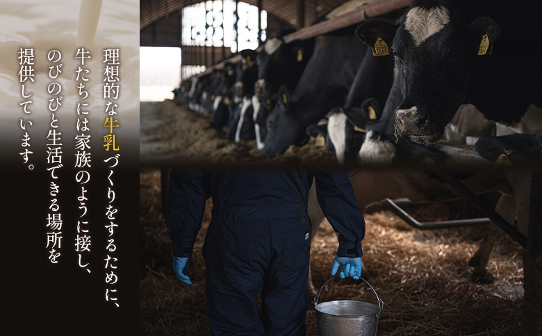 べつかい 極濃チーズサンド 4個入り×2個 | オンライン申請 ふるさと納税 北海道 中標津 チーズ サンド ケーキ 計8個 ねとらぼ 受賞 口コミ 濃厚 クリームチーズ クッキー 焼き菓子 洋菓子 