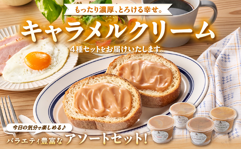 とろけるキャラメルクリーム4種アソートセット（プレーン・チョコレート・ココナッツ・ラムレーズン）・S105