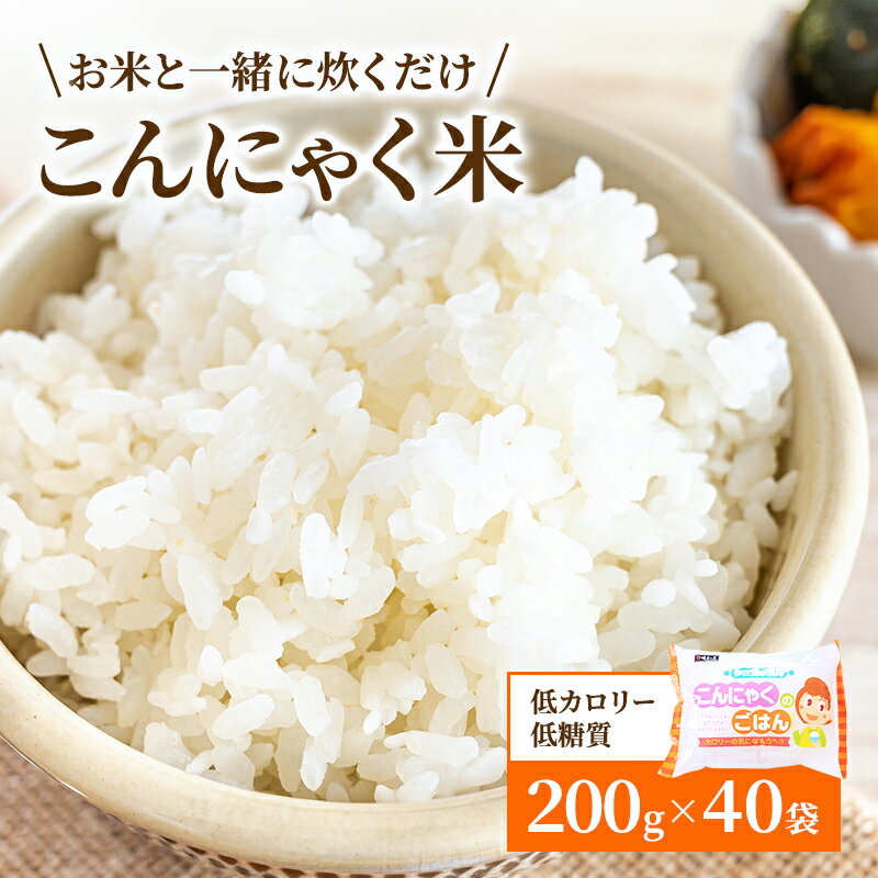 【ふるさと納税】こんにゃく米 お米と一緒に炊くだけ こんにゃく ごはん 40袋 コンニャク ダイエット 食品 加工食品 セット もどきご飯 こんにゃくご飯 糖質オフ 低糖質 低カロリー　 岐阜県池田町