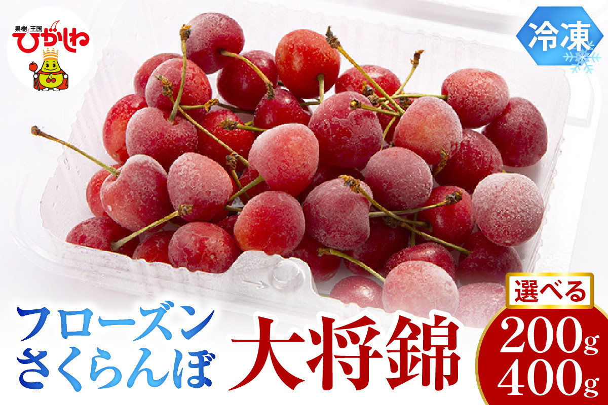 
            ≪内容量が選べる≫　フローズンさくらんぼ「大将錦」200g入【1パック・2パック】有限会社佐藤錦提供 山形県 東根市 hi004-hi029-016r-o
          