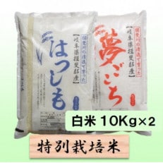 【令和6年産】特別栽培米 20kg【白米】(ハツシモ/夢ごこち)