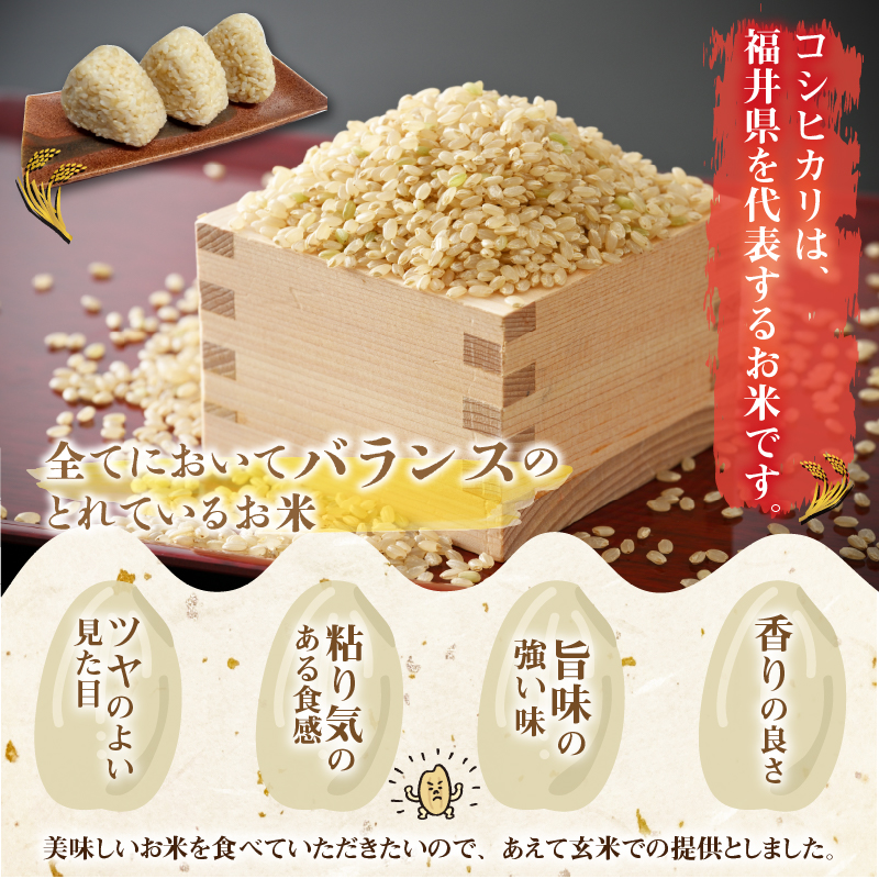 【先行予約】令和8年産 梅花藻が群生する清流で育てたコシヒカリ（玄米 5kg×1袋）※2026年9月下旬以降順次発送予定 [A-040028]