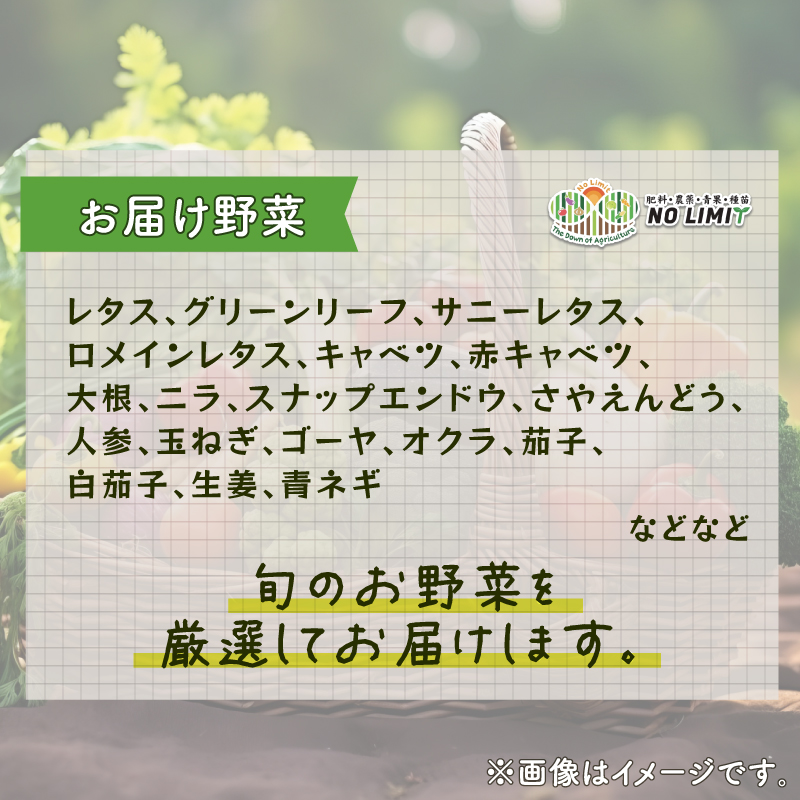 訳あり 野菜 4～6品目 詰め合わせ セット 旬野菜 新鮮 国産 農家直送 産地直送 生産者直送 クール便 冷蔵 お取り寄せ ご当地 特産物 徳島県 阿波市 四国