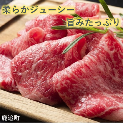 鹿追牛ロース 焼肉用 450g (鹿追牛Bセット) 225g×2 北海道十勝鹿追産【0112】【配送不可地域：離島】【1455835】