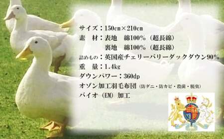 シングル　羽毛掛け布団（水色） ／ サンコーソーイング八幡平オリジナル かけ布団 国産