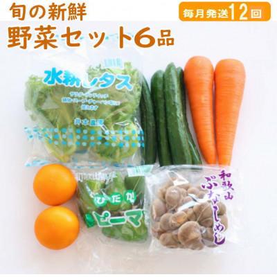 ふるさと納税 印南町 【発送月固定定期便】旬の新鮮野菜セット 6品目【野菜詰め合わせ】全12回