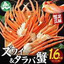 【ふるさと納税】 2570. カニ 蟹 1.6kg食べ放題セット 4-5人前 タラバガニ足 ズワイガニ足 カニ かに ズワイ蟹 ずわい蟹肉 ずわいがに タラバ蟹 タラバガニ 脚 たらばがに たらば蟹 ボイル 送料無料 35000円 北海道 弟子屈町