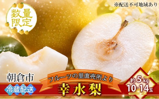 フルーツの里の直売所より 幸水梨 5kg 九州の梨 天然の甘み 安心 安全 ギフト ※配送不可：離島