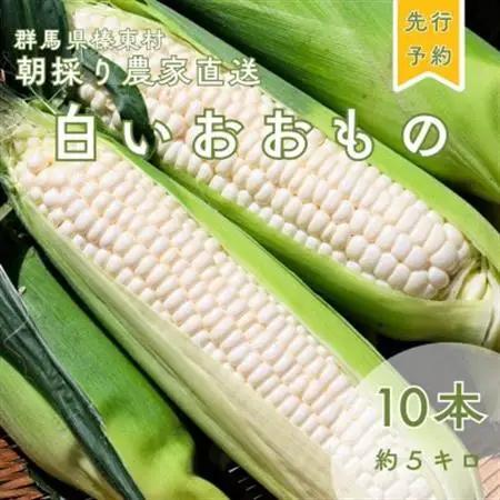 【先行予約】糖度18度前後　朝採りトウモロコシ　しろいおおもの　約5kg(10本)_野菜 とうもろこし  トウモロコシ_【配送不可地域：離島】【1598110】