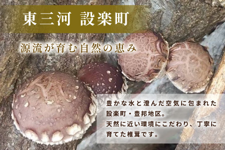 無農薬栽培 原木しいたけ！とよくに清流 ほししいたけ 200g 椎茸 シイタケ 野菜 バーベキュー 肉厚-017