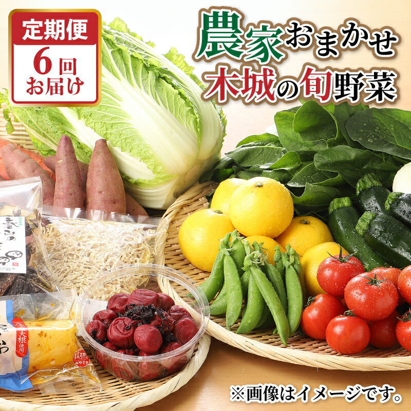 【ふるさと納税】農家おまかせ木城の旬野菜定期便6回 - 産地直送 野菜セット 旬の野菜6〜8品程度 季節の野菜 おまかせ お楽しみ 新鮮 野菜の詰め合わせ 野菜宅配 6回定期便 6ヶ月定期便 送料無料 【宮崎県木城町】