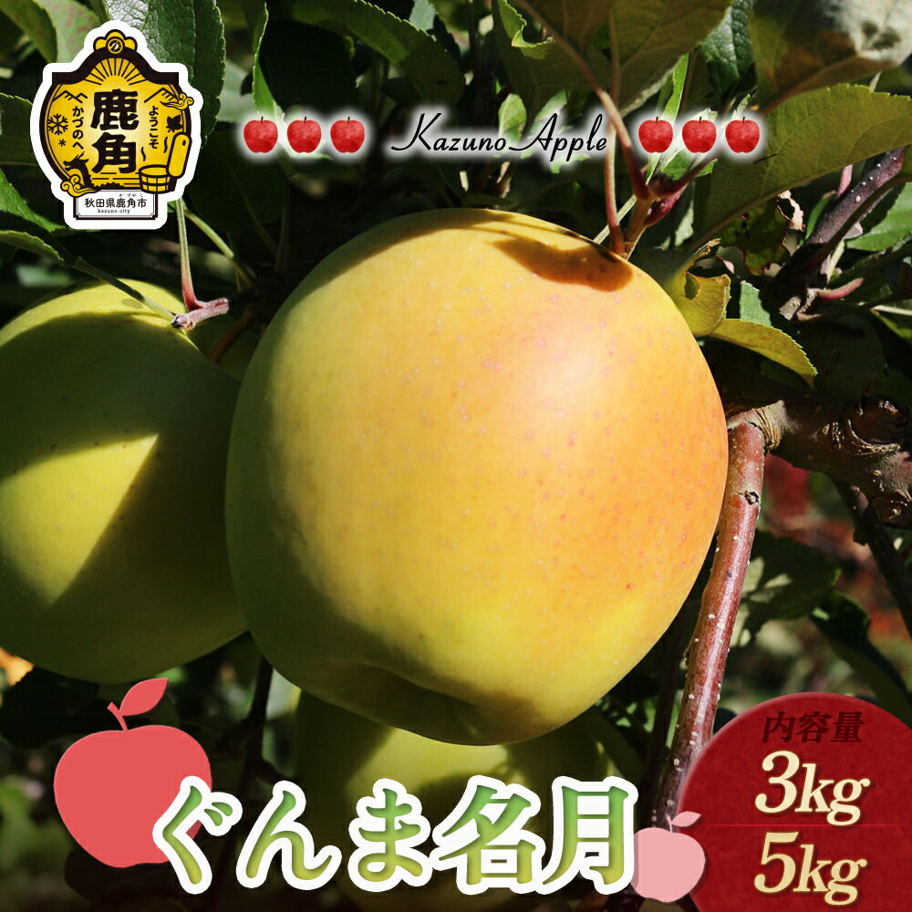 【ふるさと納税】《 先行予約 》 りんご 鹿角りんご 「 ぐんま名月 」 選べる 3kg ／ 5kg リンゴ 林檎 贈答用 みずみずしい 果汁 完熟 旬 県産りんご お中元 お歳暮 贈り物 お見舞い グルメ ギフト 故郷 秋田 あきた 鹿角市 鹿角 送料無料 【佐藤秀果園】
