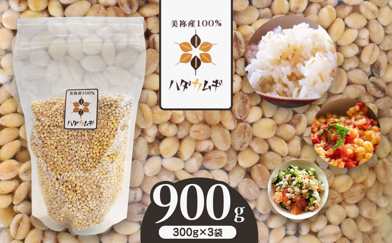 
はだか麦 3袋 お試しセット ｜ 麦 はだか麦 セット ヘルシーフード 味噌 麦茶 特産品 美祢市 美祢 山口県 山口
