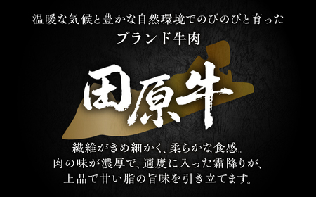 田原牛 味付 特選カルビ 500g (100g小分けパック) 牛肉 焼肉 牛肉