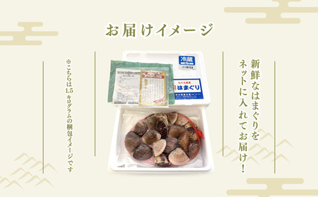【定期便3ヶ月】九十九里産 大粒 天然はまぐり1.5kg×3回 計4.5kg ふるさと納税 はまぐり 蛤 天然 焼きはまぐり 網焼き 酒蒸し お吸い物 お祝い パエリア 和食 活はまぐり 千葉県 白子