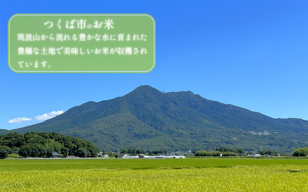先行予約 10月中旬~発送開始☆令和7年産☆計10kg 新米 コシヒカリ・ほしじるし食べ比べセット (5kg+5kg) 米