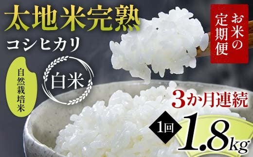 【先行予約】お米の定期便 自然栽培米 太地米完熟 【こしひかり】 白米1.8kg×3か月連続 ブランド米 お米 精米 白米 人気 F7X-0748
