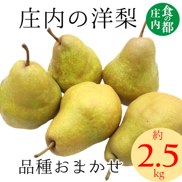 食の都庄内　庄内の洋梨（品種おまかせ）約2.5kg※9月下旬～1月下旬頃まで配送 [HS4-064(庄内旬青果)] 約2.5kg ￥14,500
