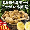 【ふるさと納税】数量限定 期間限定 じゃがいも 10kg 北海道 きたあかり ジャガイモ 芋 いも北海道ふるさと納税 積丹町 ふるさと納税 北海道 サイズ混同 野菜 通販 ギフト 贈答品 贈り物