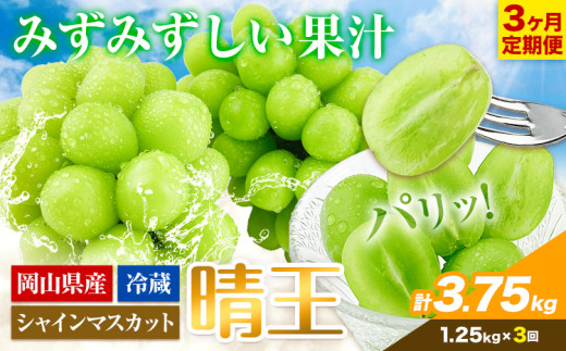 シャインマスカット 3ヶ月 定期便【2025年先行予約】 シャインマスカット 晴王 約1.25kg 岡山県産《9月上旬-11月末頃出荷(土日祝除く)》 ハレノフルーツ マスカット 送料無料 岡山県 浅口市 フルーツ 果物 贈り物 ギフト 国産 岡山県産 くだもの【配送不可地域あり】 st-p
