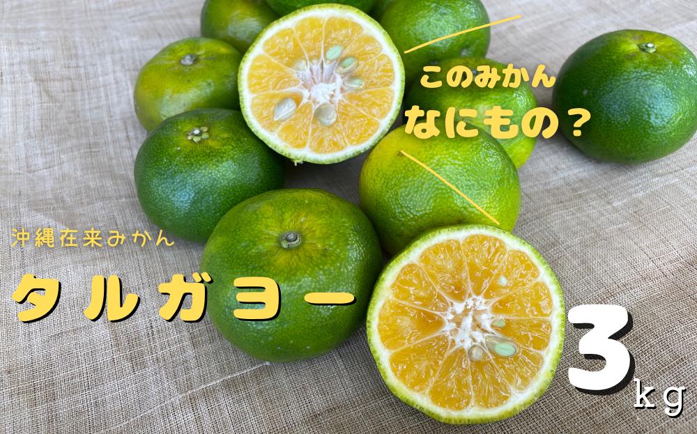 
            【2025年11月-12月発送】地元で愛されてきた沖縄みかん「タルガヨー」3kg
          