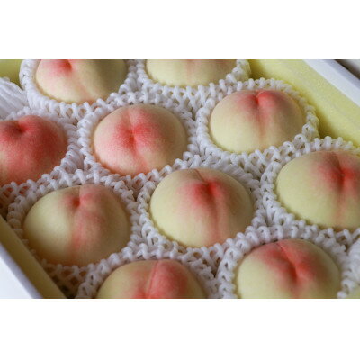 【ふるさと納税】岡山県産「白鳳」約3kg|2026年7月中旬以降順次発送予定【1516931】